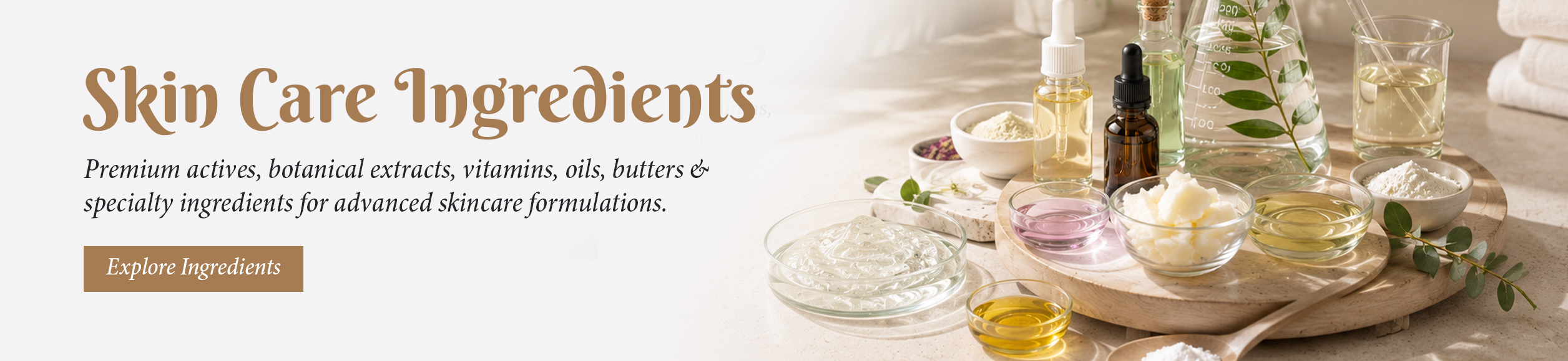 Skin Care Ingredients