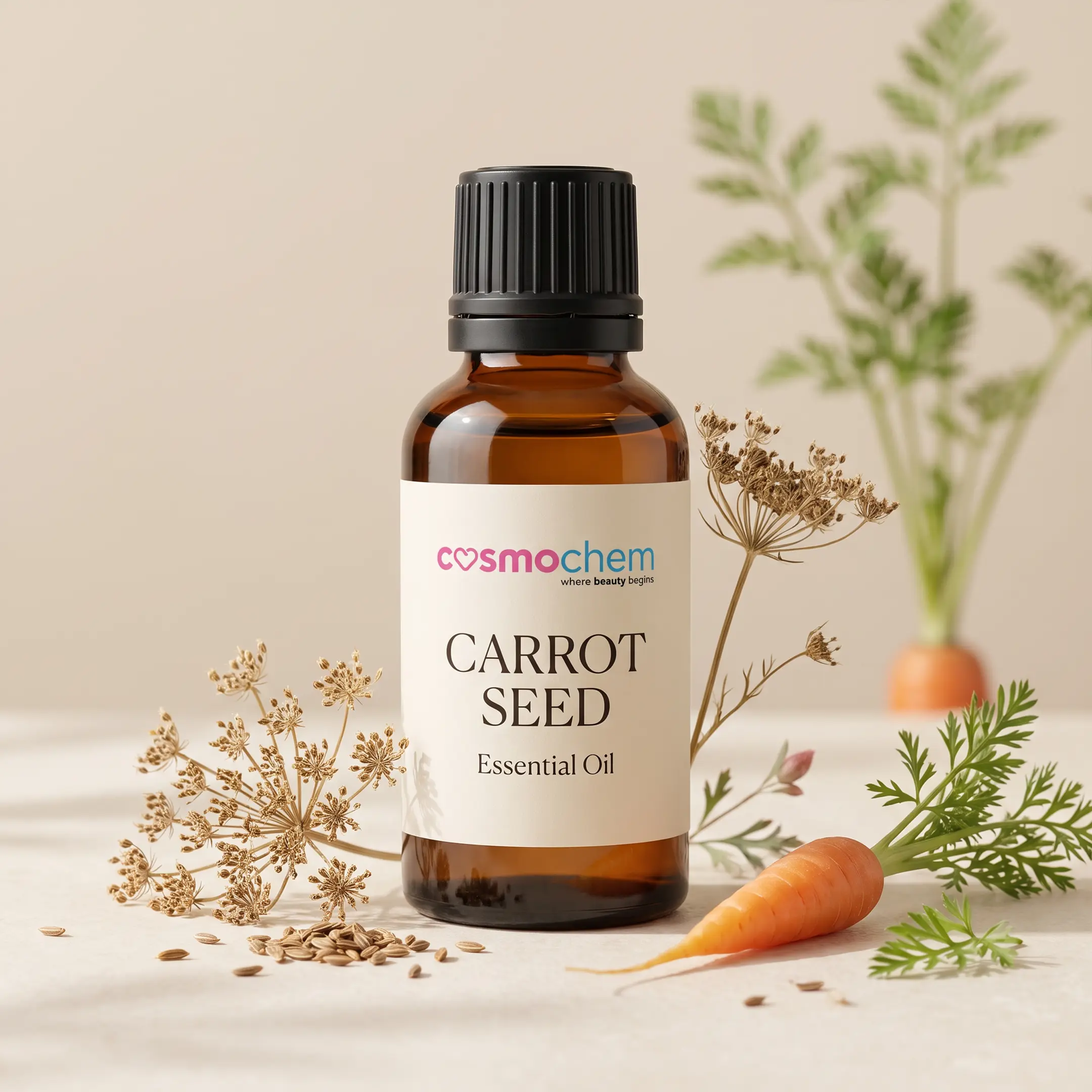 Carrot Seed Oil — Oils, Butters & Waxes