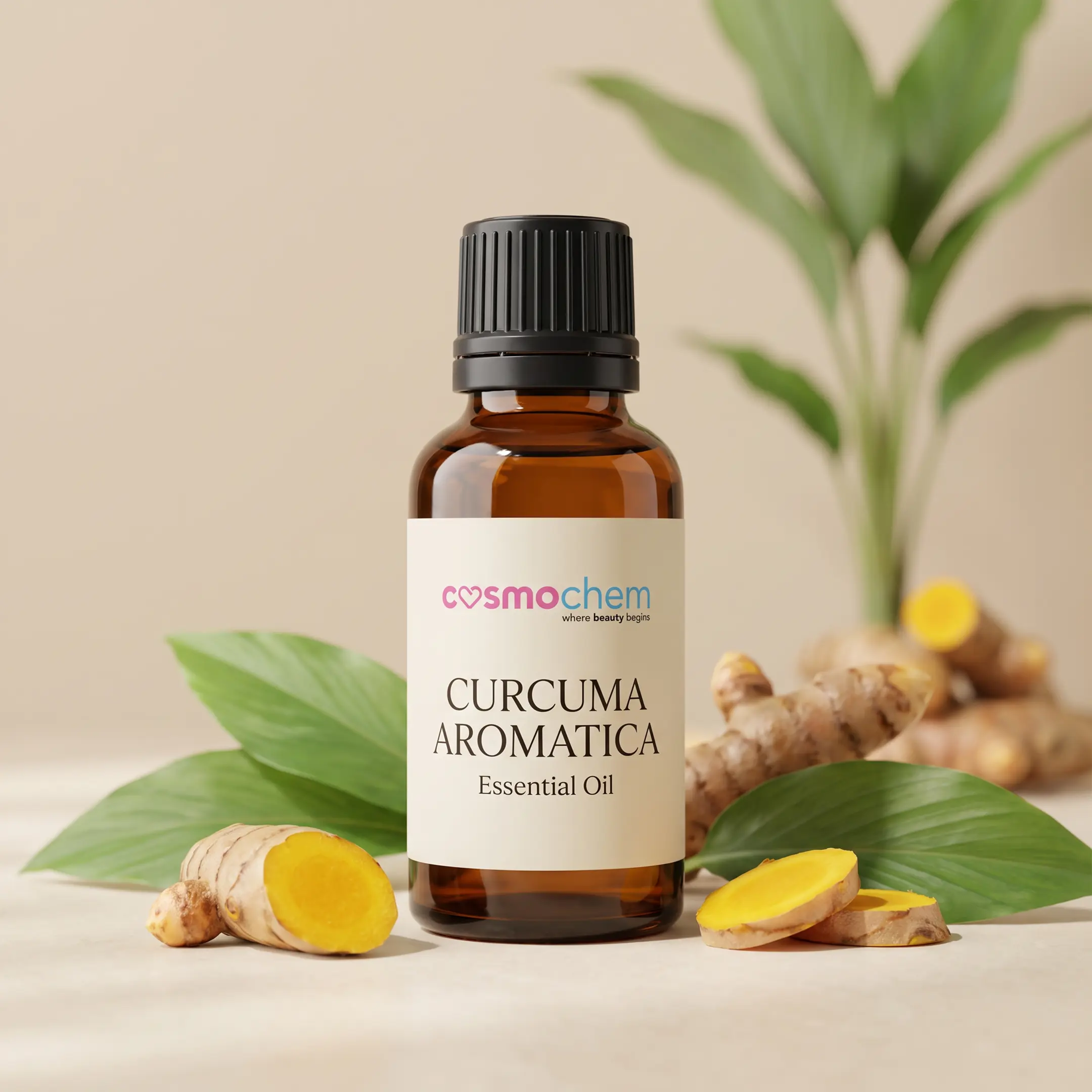 Curcuma Aromatica Oil — Oils, Butters & Waxes
