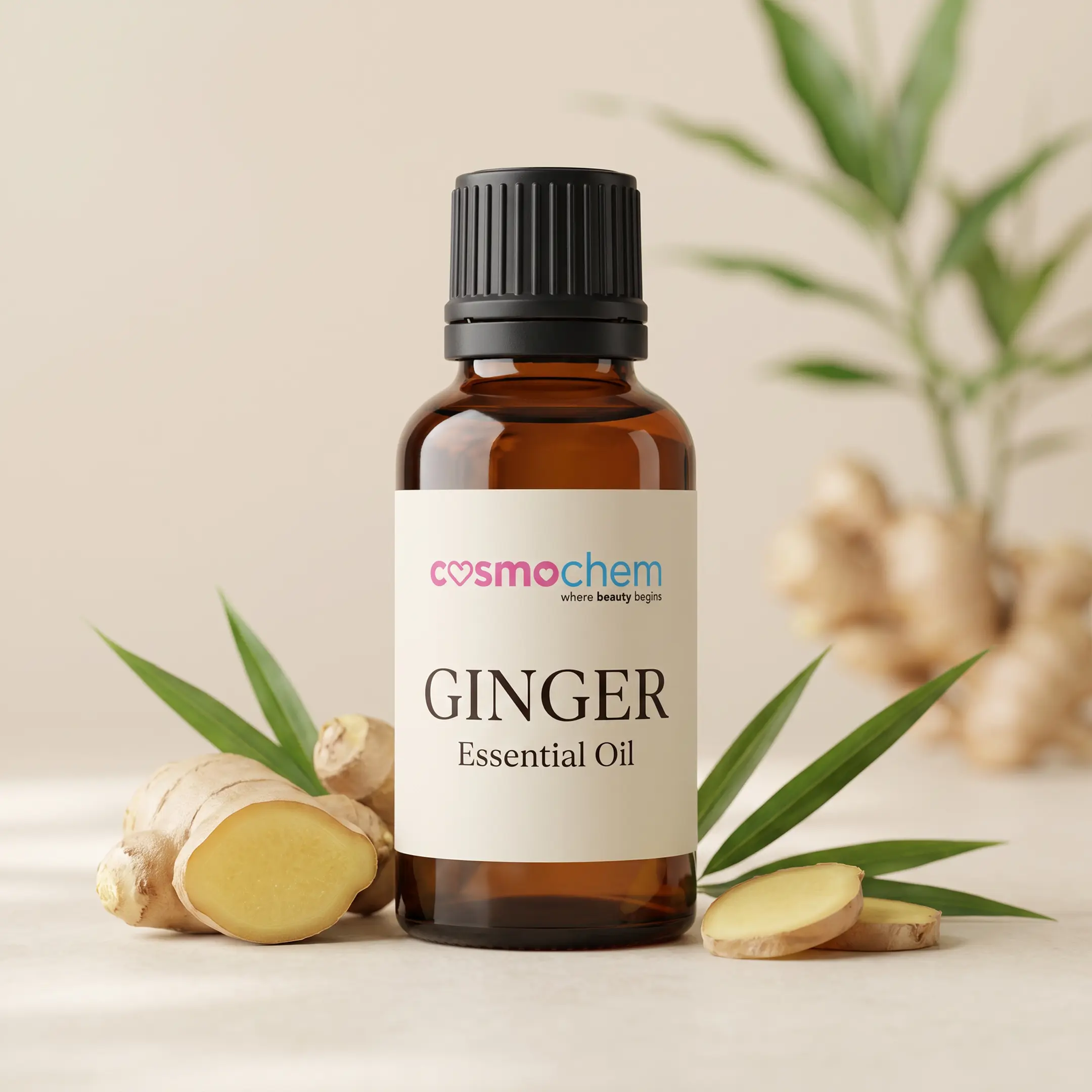 Ginger Oil — Oils, Butters & Waxes