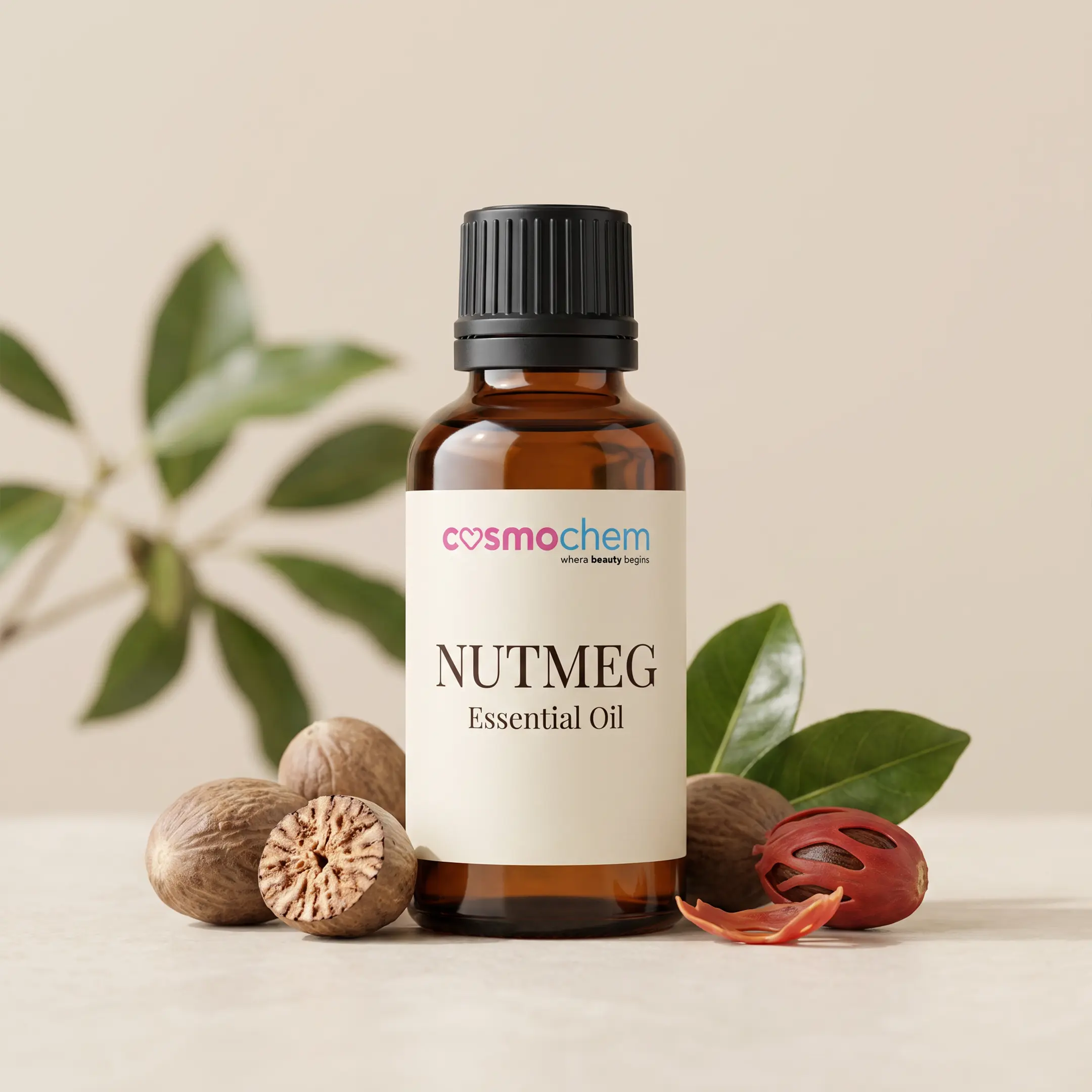 Nutmeg Oil — Oils, Butters & Waxes