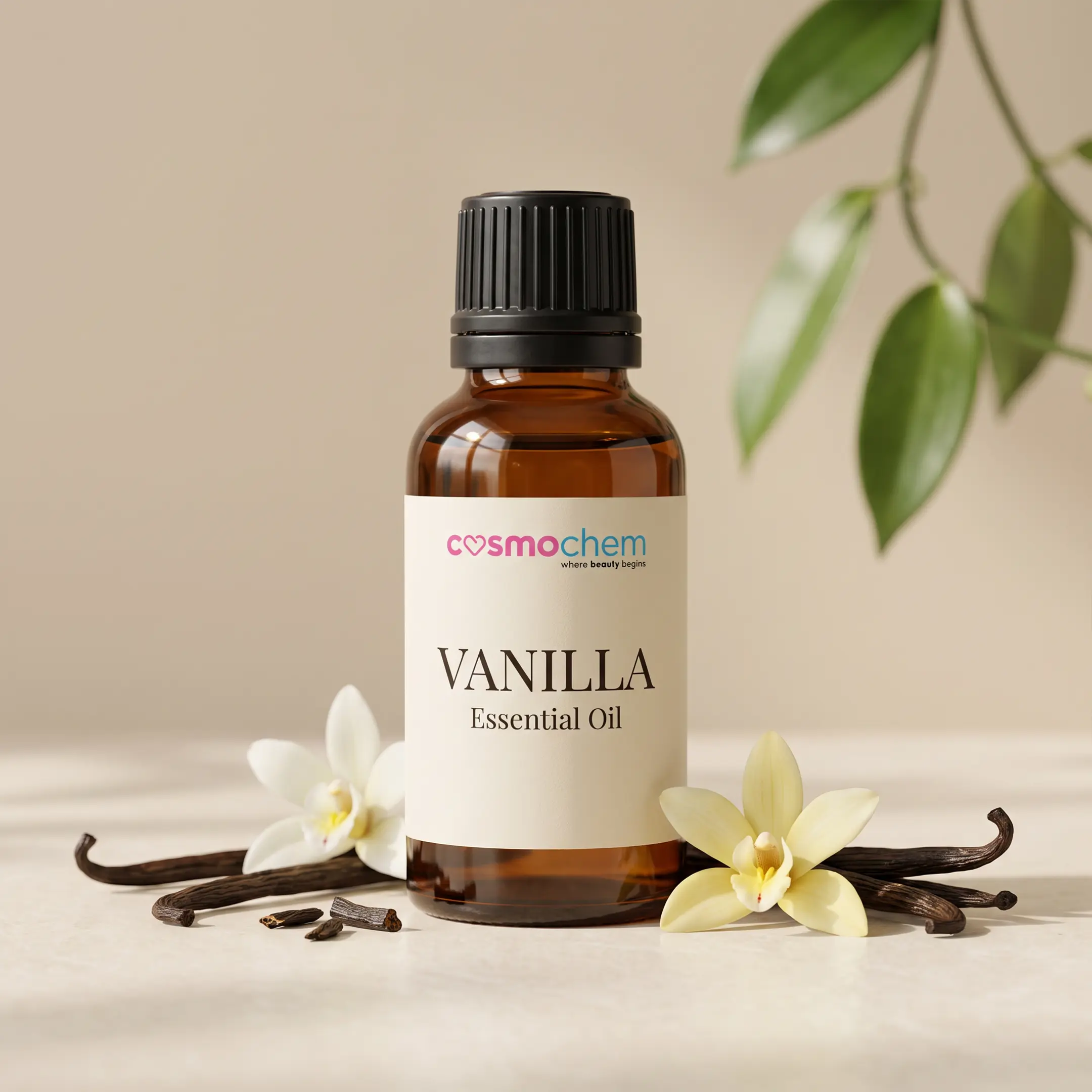 Vanilla — Oils, Butters & Waxes